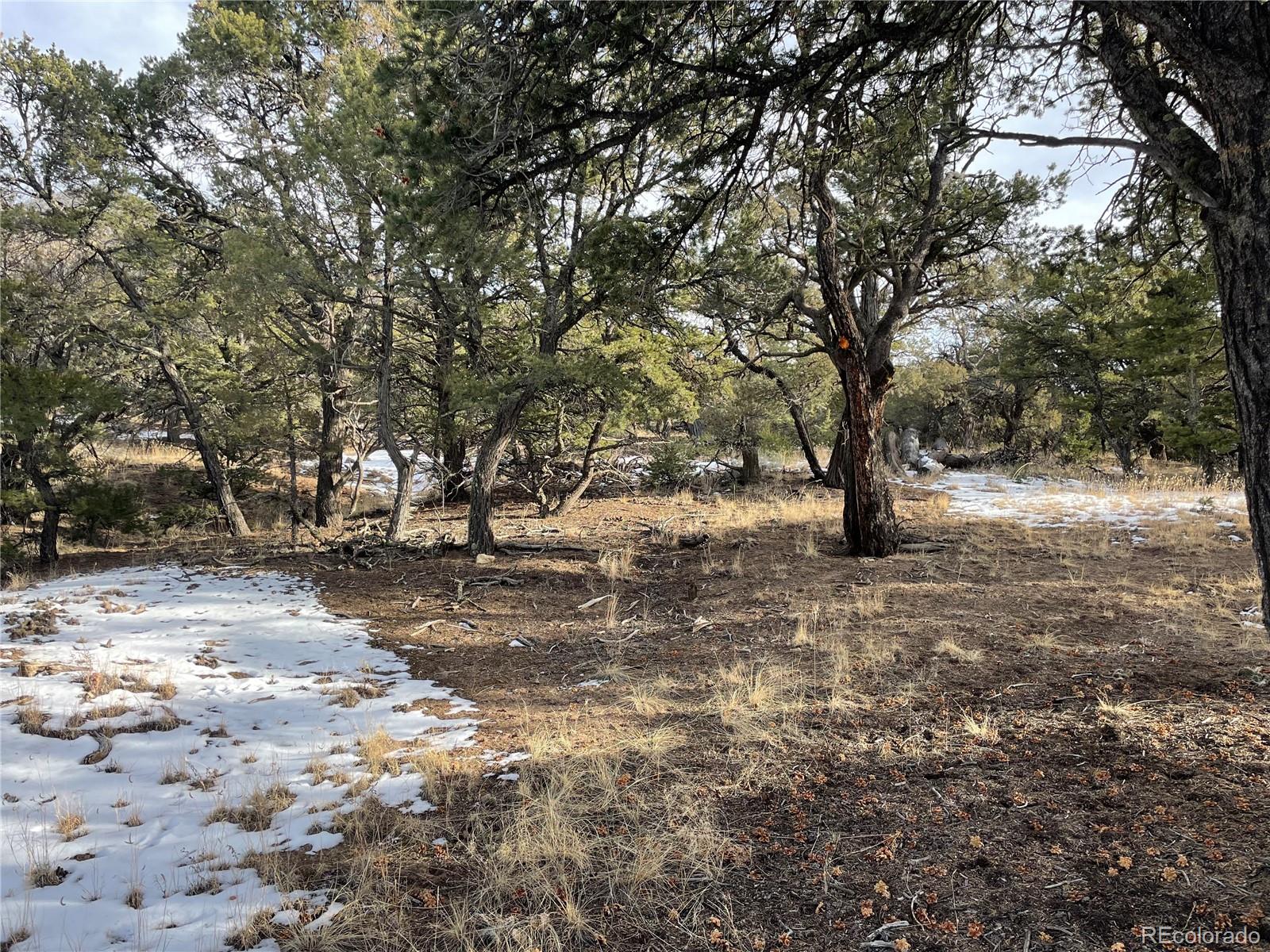 1845 Lone Butte, Crestone, CO 81131, ,Land,For Sale,Lone Butte,REC3902132