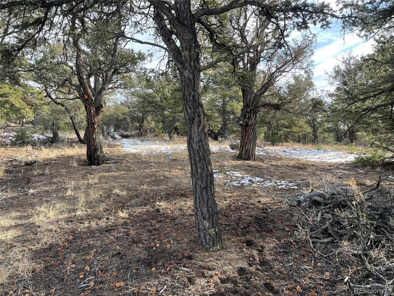 1845 Lone Butte, Crestone, CO 81131, ,Land,For Sale,Lone Butte,REC3902132