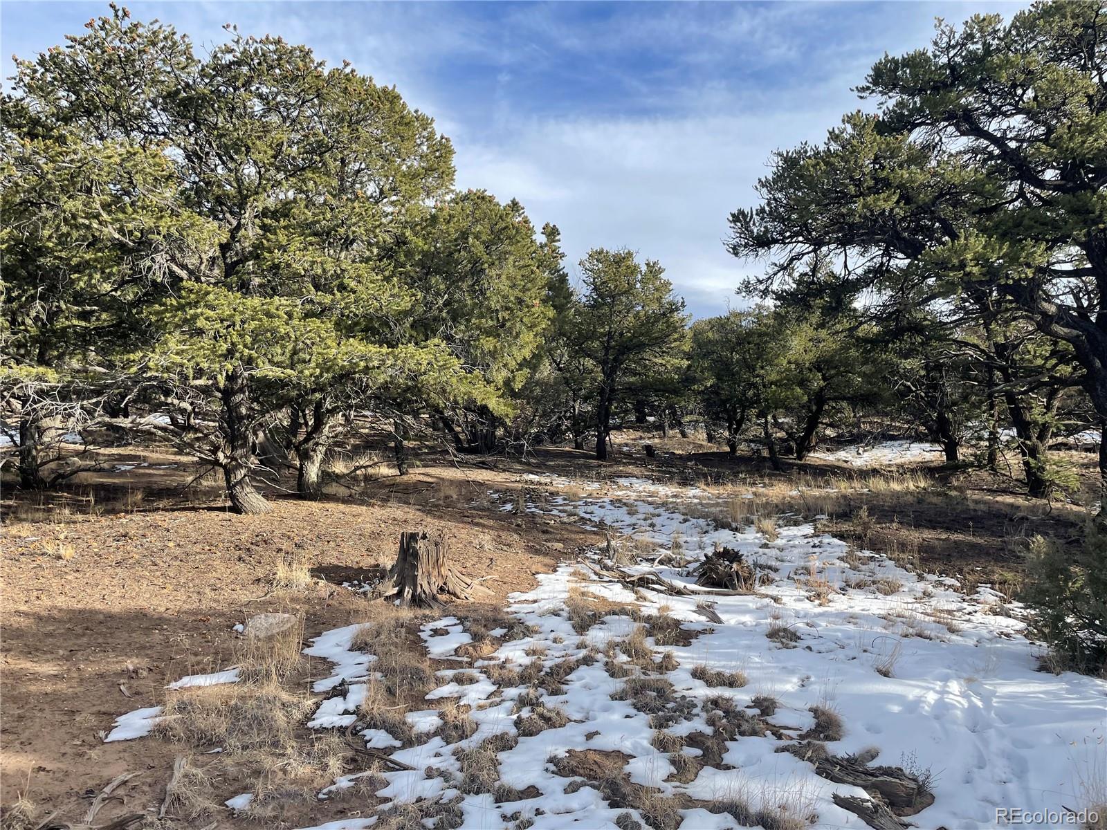 1845 Lone Butte, Crestone, CO 81131, ,Land,For Sale,Lone Butte,REC3902132