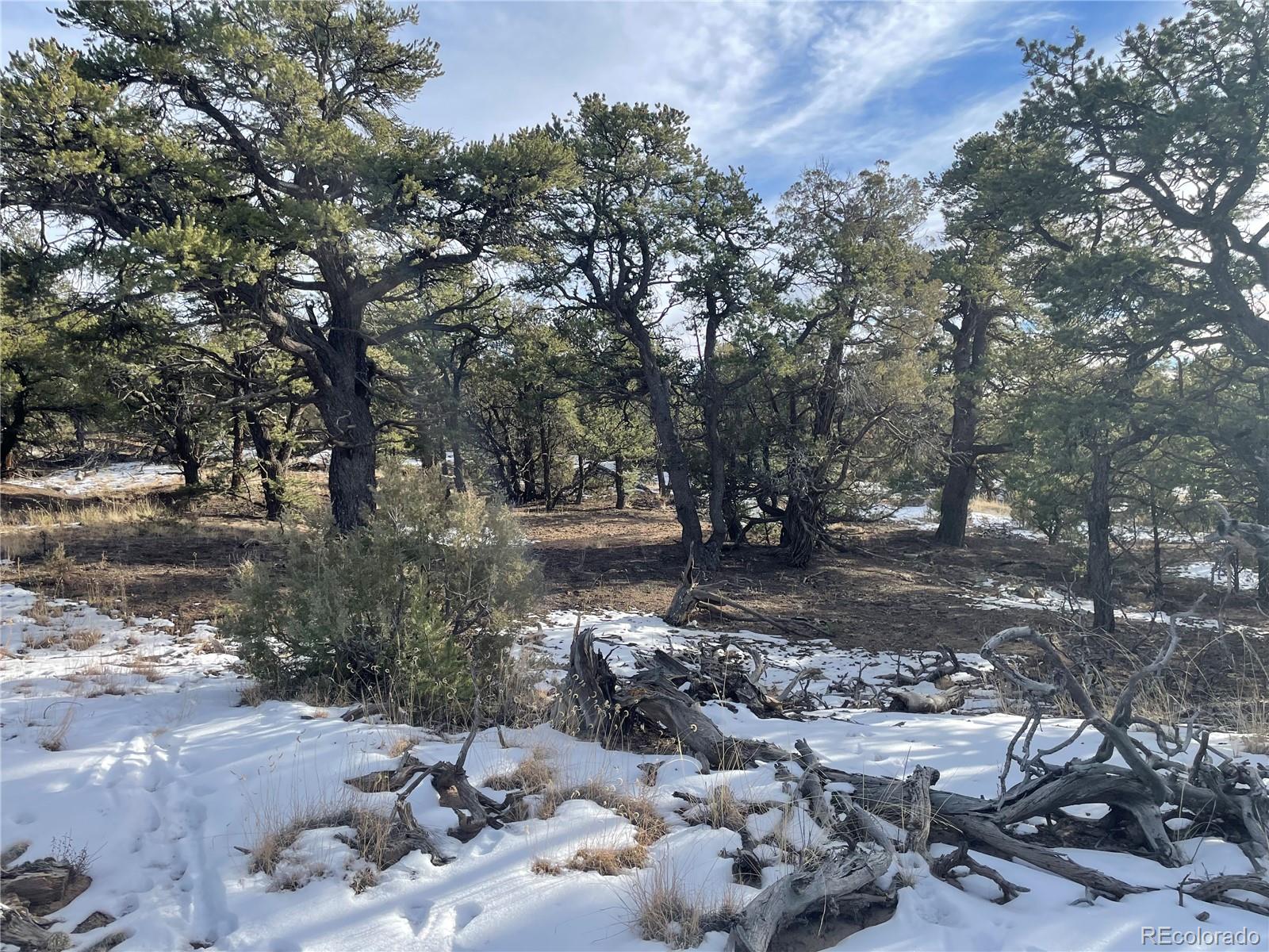 1845 Lone Butte, Crestone, CO 81131, ,Land,For Sale,Lone Butte,REC3902132