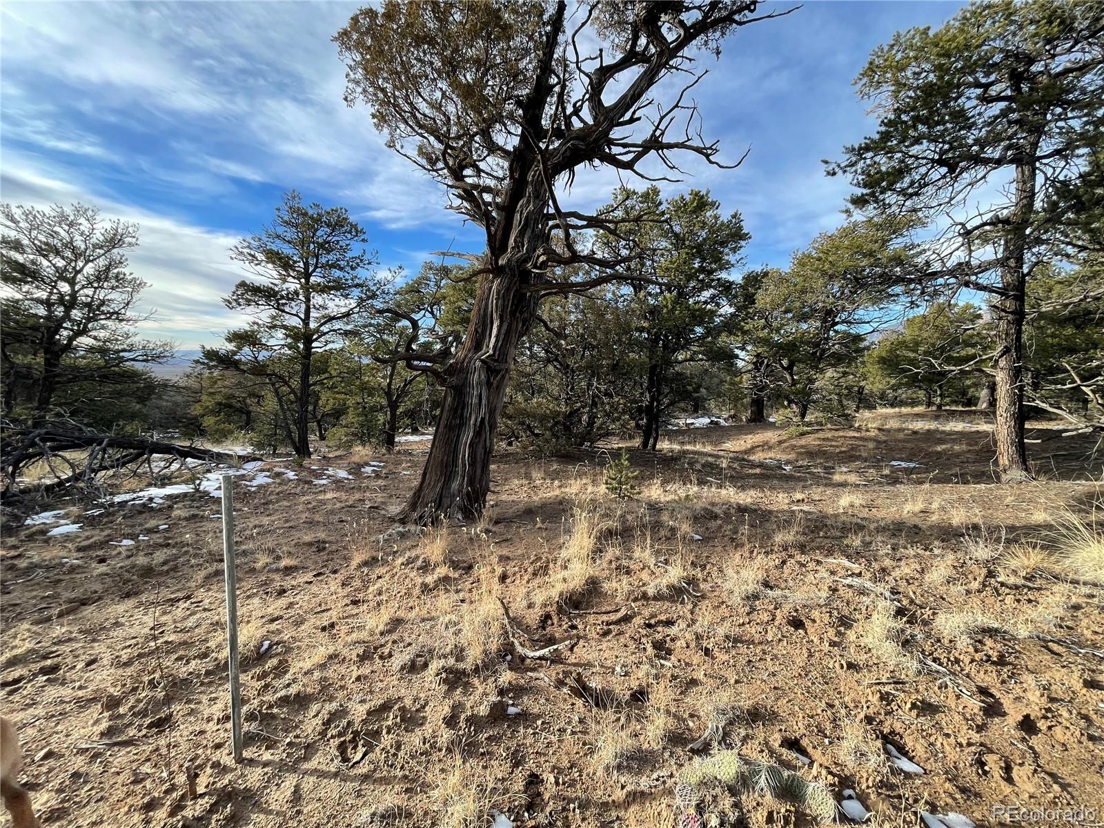 1845 Lone Butte, Crestone, CO 81131, ,Land,For Sale,Lone Butte,REC3902132