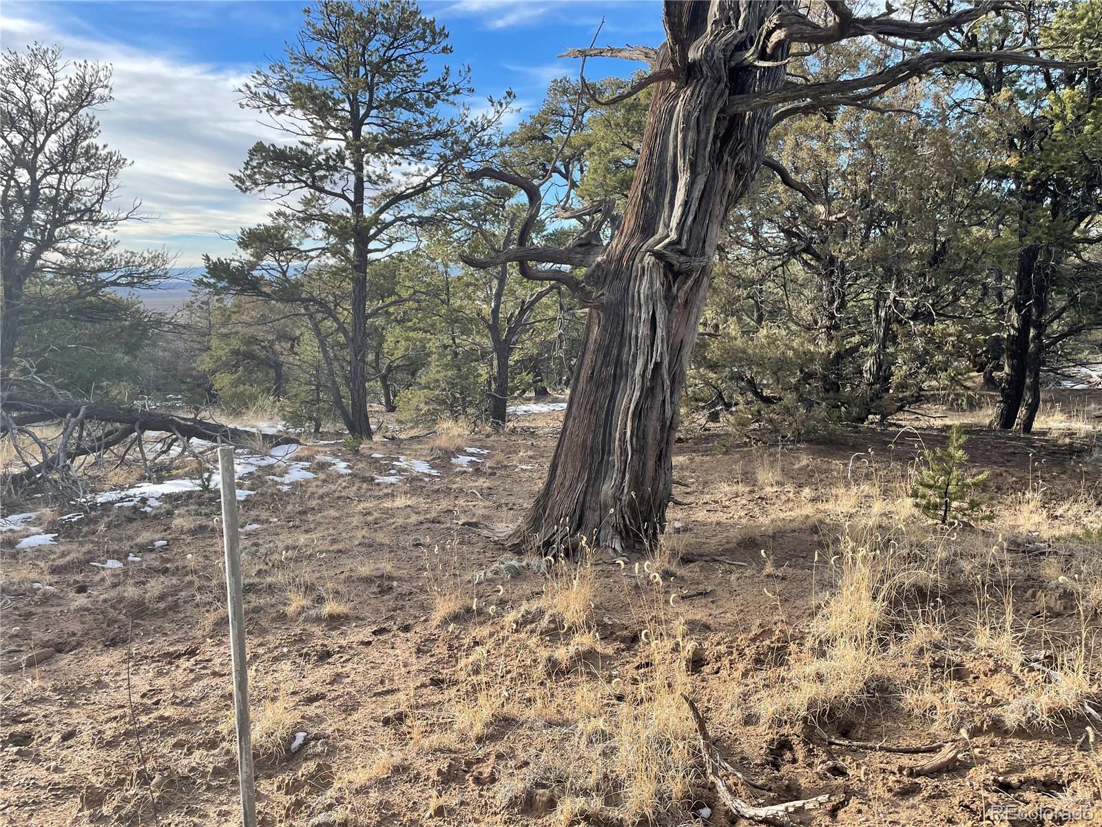 1845 Lone Butte, Crestone, CO 81131, ,Land,For Sale,Lone Butte,REC3902132