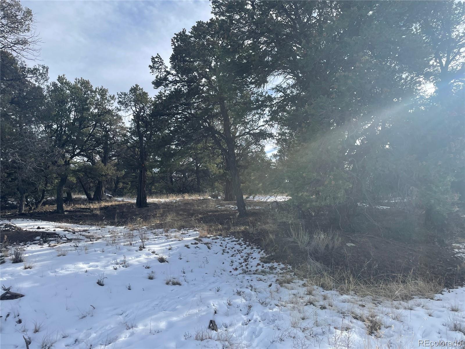 1845 Lone Butte, Crestone, CO 81131, ,Land,For Sale,Lone Butte,REC3902132