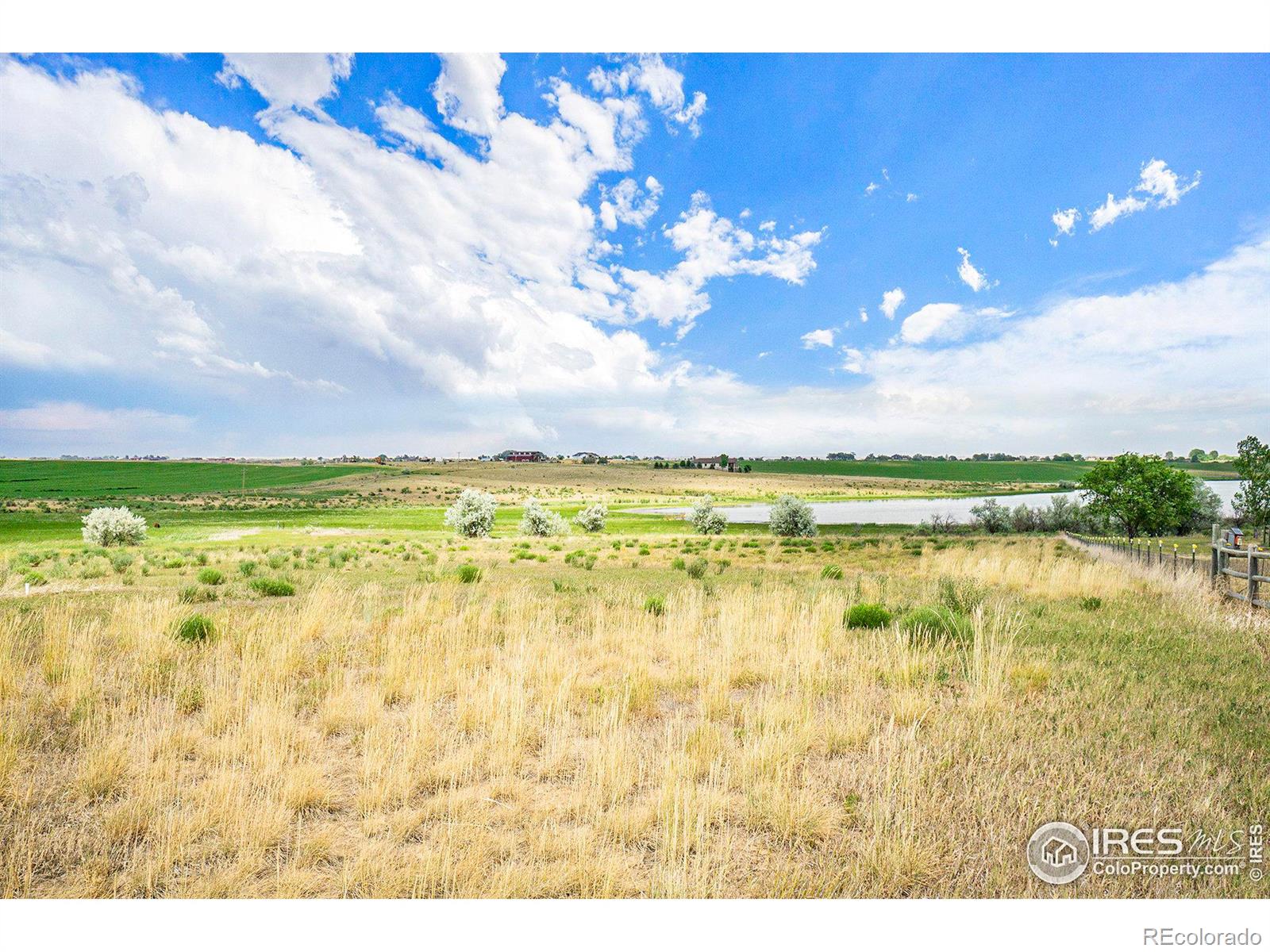 7142 Daryn Lane, Fort Collins, CO 80524, ,Land,For Sale,Daryn,RECIR1023941