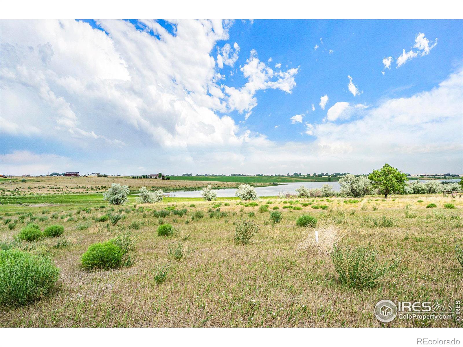 7142 Daryn Lane, Fort Collins, CO 80524, ,Land,For Sale,Daryn,RECIR1023941