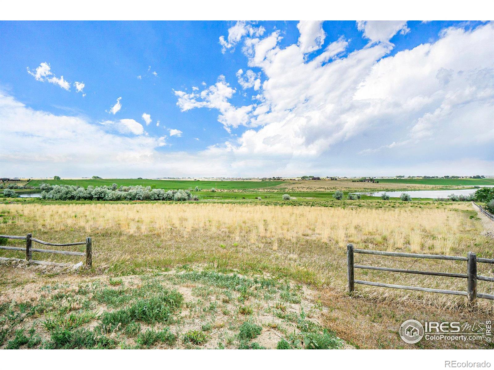 7142 Daryn Lane, Fort Collins, CO 80524, ,Land,For Sale,Daryn,RECIR1023941