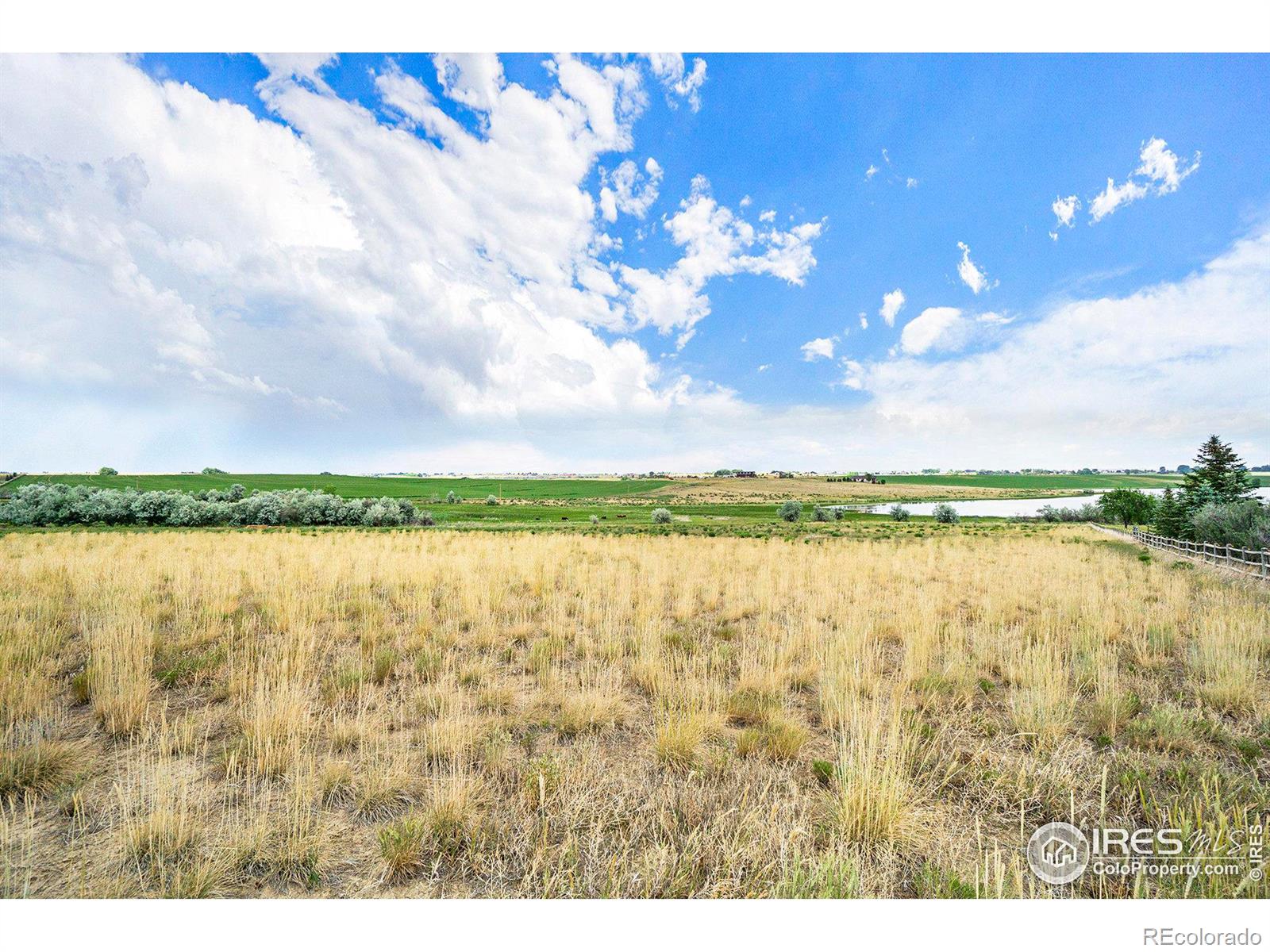 7142 Daryn Lane, Fort Collins, CO 80524, ,Land,For Sale,Daryn,RECIR1023941