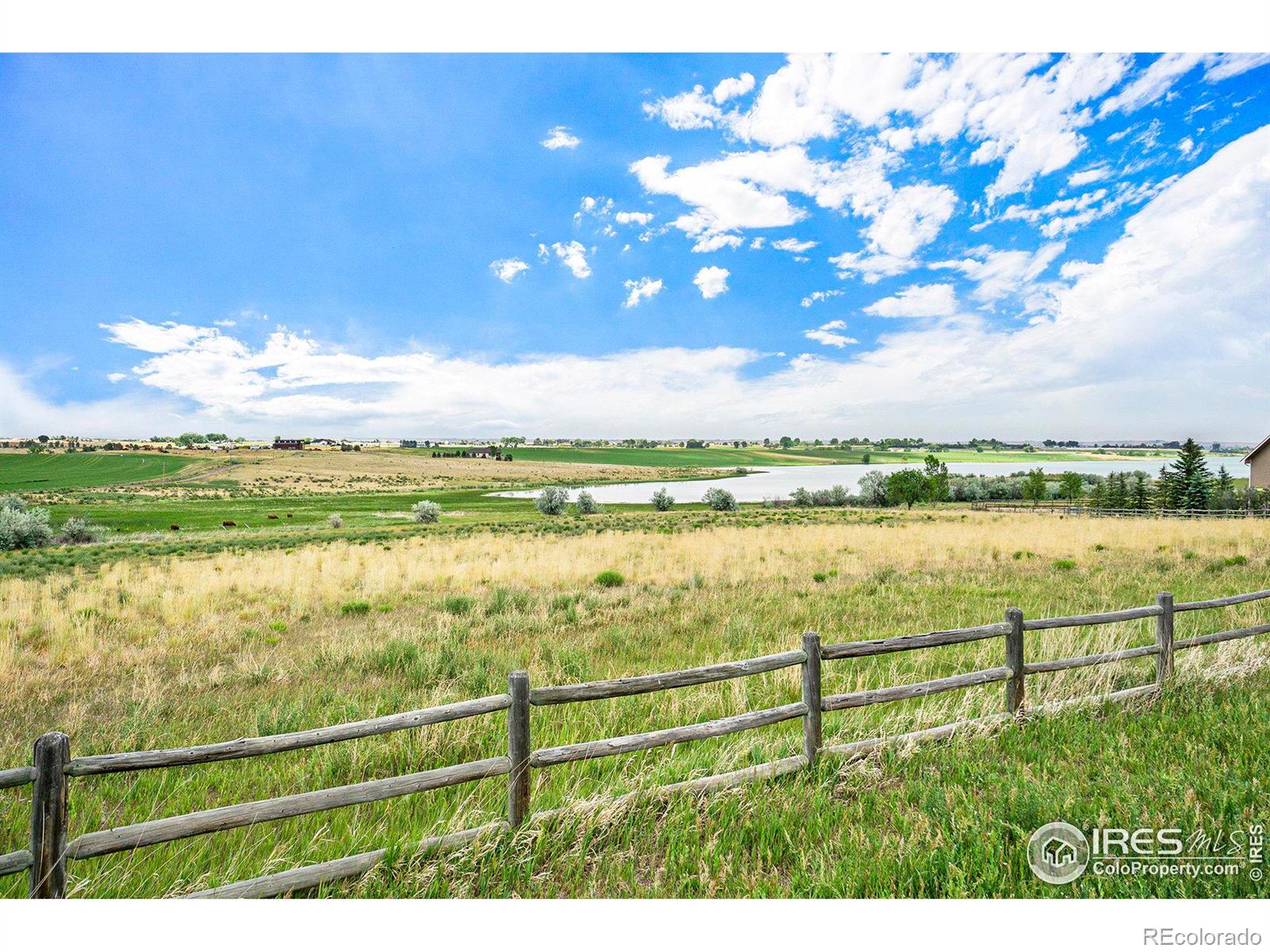 7142 Daryn Lane, Fort Collins, CO 80524, ,Land,For Sale,Daryn,RECIR1023941