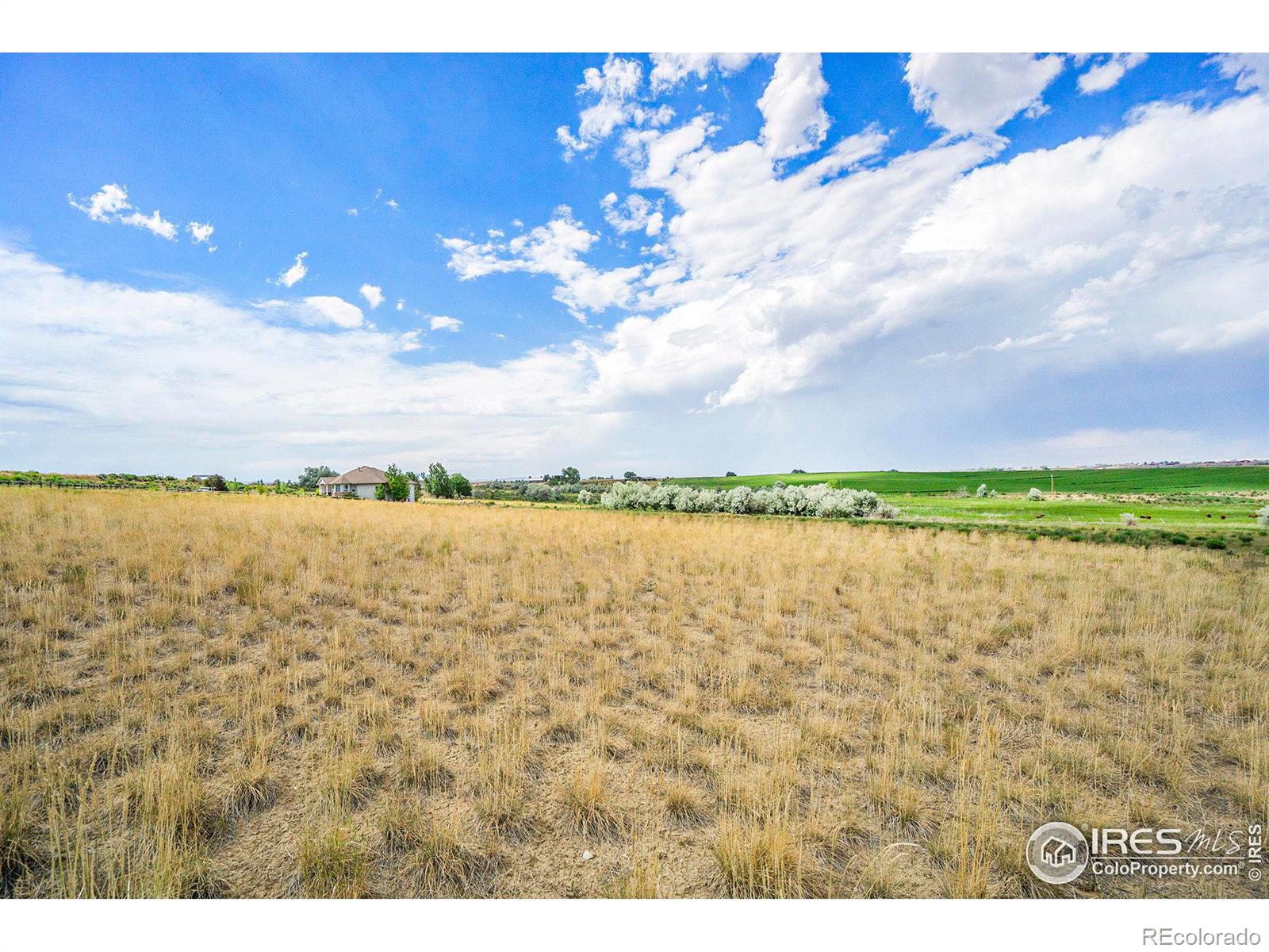 7142 Daryn Lane, Fort Collins, CO 80524, ,Land,For Sale,Daryn,RECIR1023941