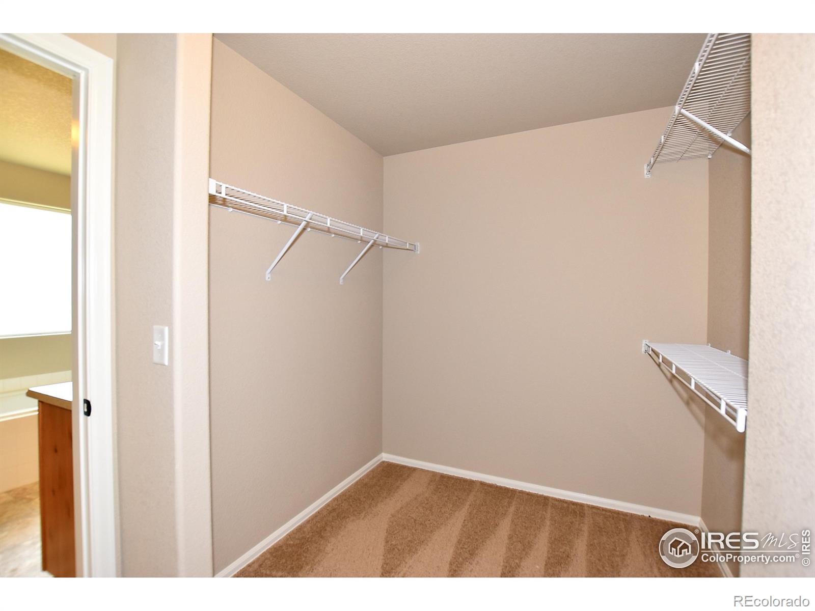 2416 Graceful Street, Windsor, CO 80550, 4 Bedrooms Bedrooms, ,3 BathroomsBathrooms,Residential,For Sale,Graceful,RECIR1023932