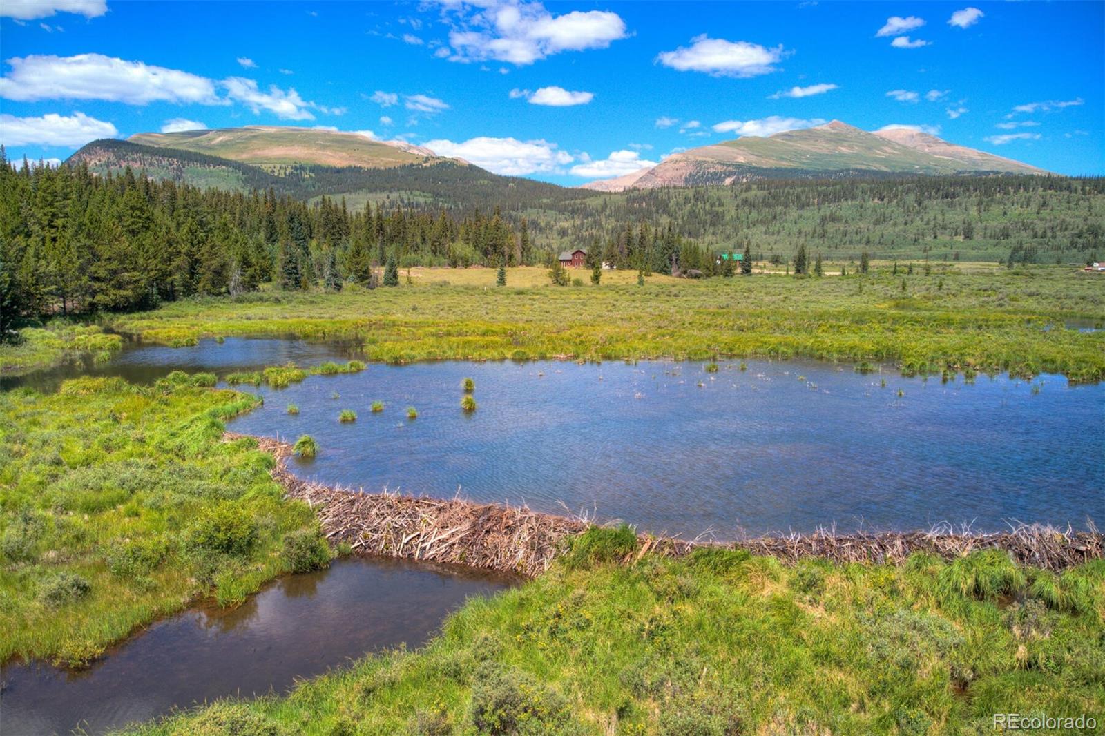 Restricted Address, Alma, CO 80420, ,Land,For Sale,Kootchie Kootchie,REC7468558
