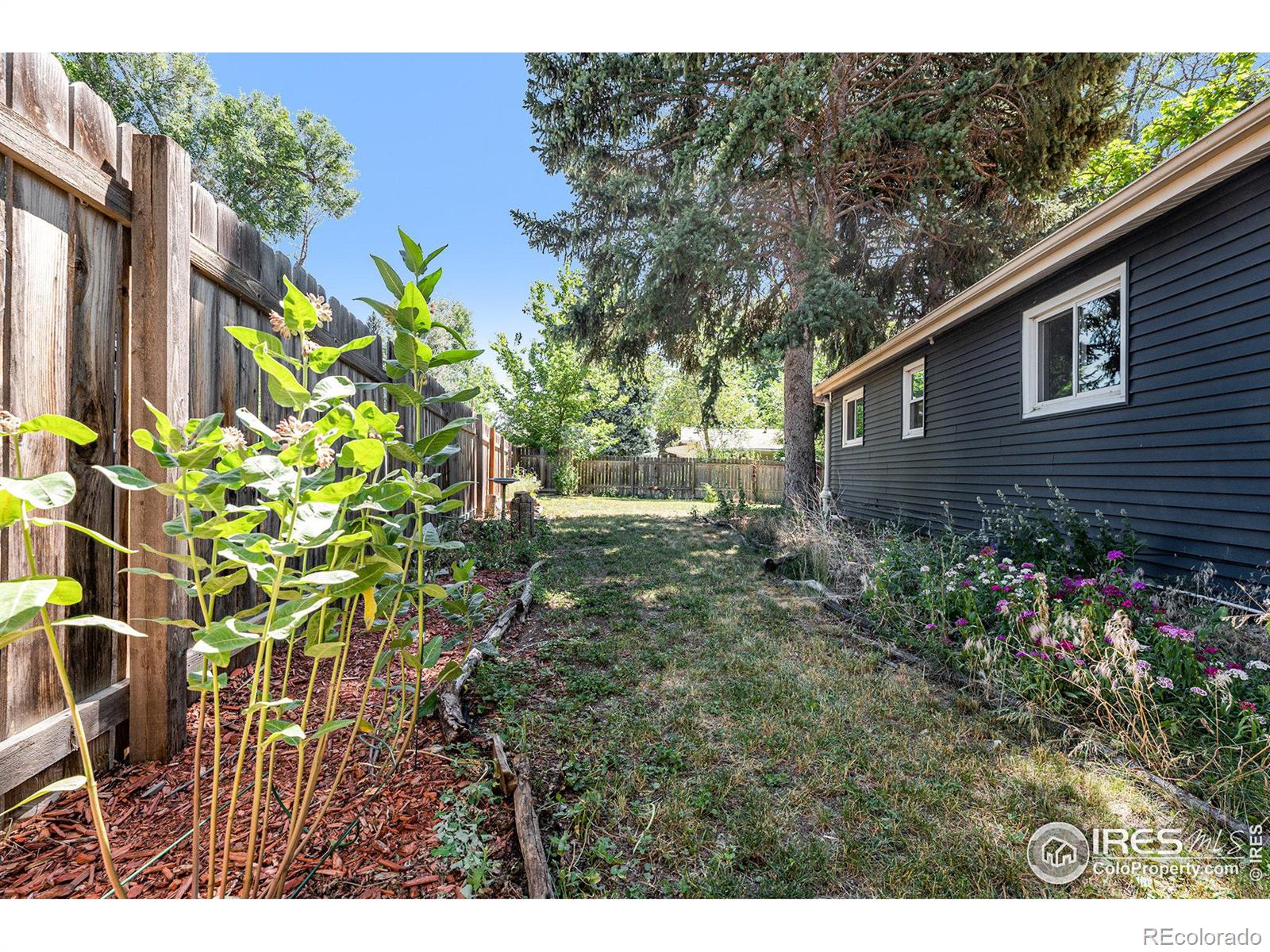 1024 Roosevelt Avenue, Loveland, CO 80537, 3 Bedrooms Bedrooms, ,1 BathroomBathrooms,Residential,For Sale,Roosevelt,RECIR1018299