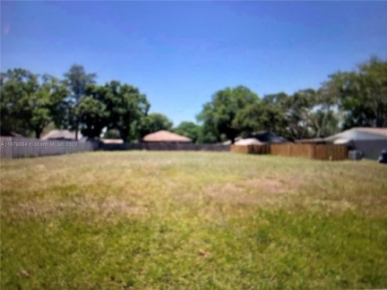 Yard