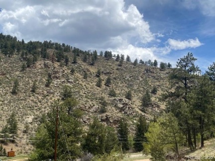 88 Fork Road, Grant, CO 80448, ,Land,For Sale,Fork,REC6345627