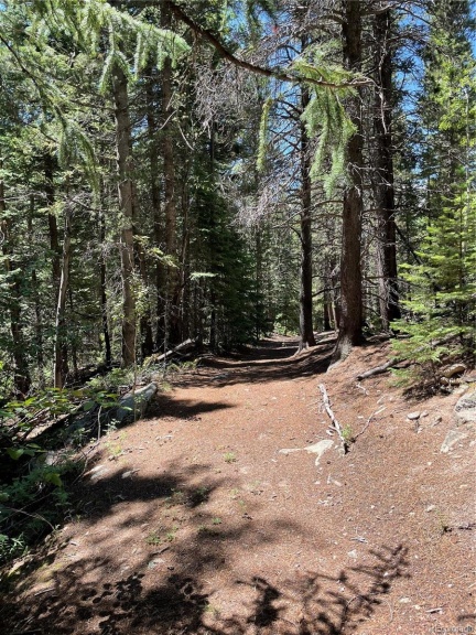 850 Lupine Place, Black Hawk, CO 80422, ,Land,For Sale,Lupine,REC6735813