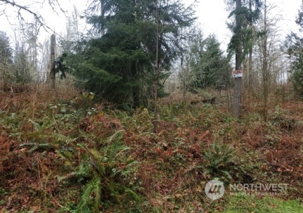 0 NE Union Hill Road, Redmond, WA 98053, ,Land,For Sale,Siler Ridge,Union Hill,NWM2005307