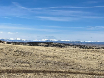 7595 Ranch Road, Hartsel, CO 80449, ,Land,For Sale,Ranch,REC2886999