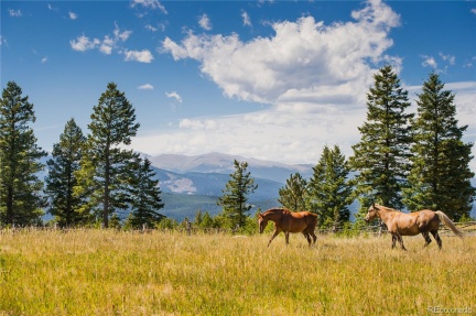 0-#5 Betts Ranch Road, Parker, CO 80134, ,Land,For Sale,Betts Ranch,REC7565367