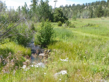 155.65 Acres, Saguache, CO 81149, ,Land,For Sale,Acres,REC4238560