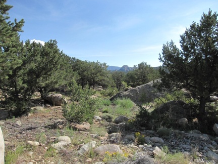 30025 Teal Run, Buena Vista, CO 81211, ,Land,For Sale,Teal,REC1761086