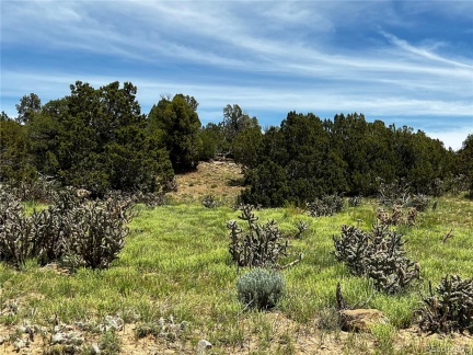Lot 589 La Deora Boulevard, Walsenburg, CO 81089, ,Land,For Sale,La Deora,REC7823031