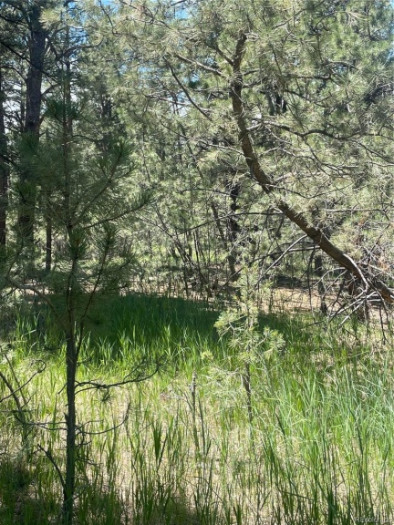 35681 Hobnail Court, Elizabeth, CO 80107, ,Land,For Sale,Hobnail,REC4199029