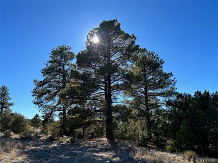 25 Pioneer Road, Mosca, CO 81144, ,Land,For Sale,Pioneer,REC3606992