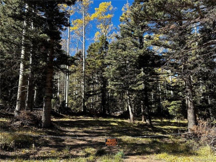 3076 Henderson Drive, Fort Garland, CO 81133, ,Land,For Sale,Henderson,REC7993797