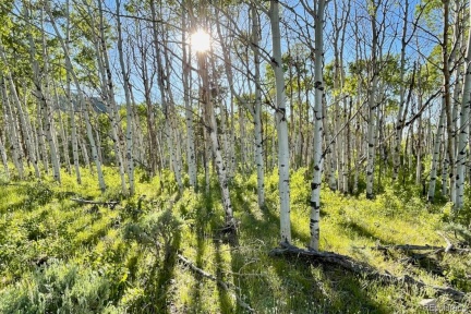 JCR 2, Walden, CO 80480, ,Land,For Sale,JCR 2,REC9437232