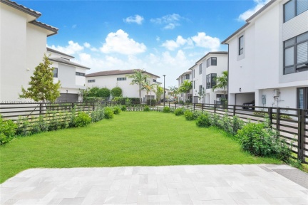 View of the backyard