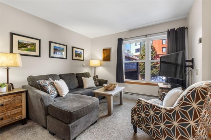 100 Park Avenue #W209, Breckenridge, CO 80424, ,1 BathroomBathrooms,Residential,For Sale,Park,REC6629594