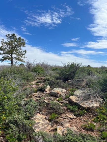 Lot 30 County Road C-3, Dove Creek, CO 81324, ,Land,For Sale,County Road C-3,REC8210144