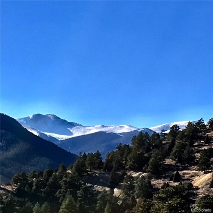 Wild Wagoner Tr, Dumont, CO 80452, ,Land,For Sale,Wild Wagoner Tr,REC6044817