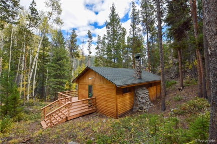420 Morrison Lane, Empire, CO 80438, ,1 BathroomBathrooms,Residential,For Sale,Morrison,REC4166118