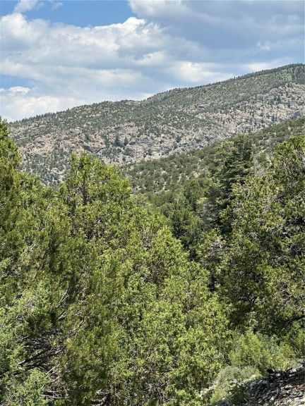 317 Cedar Ridge Road, Mosca, CO 81146, ,Land,For Sale,Cedar Ridge,REC3807638