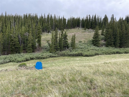 FOREST ROAD 450, Alma, CO 80420, ,Land,For Sale,FOREST ROAD 450,REC2268943