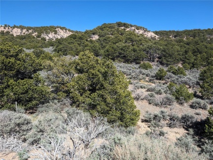Lot 2131 Trujillo Road, Fort Garland, CO 81133, ,Land,For Sale,Trujillo,REC5336858