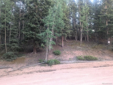 358 Pawutsy Road, Florissant, CO 80816, ,Land,For Sale,Pawutsy,REC9499360