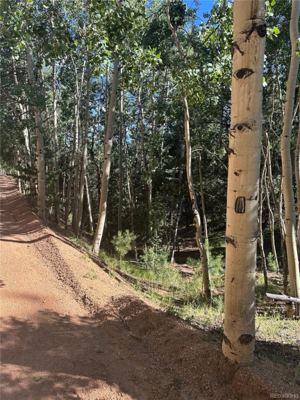 L8 Horseshoe Drive, Divide, CO 80814, ,Land,For Sale,Horseshoe,REC6667752