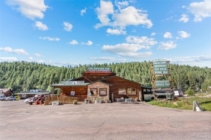 1 County Road 68, Bailey, CO 80421, ,Commercial,For Sale,County Road 68,REC2057731