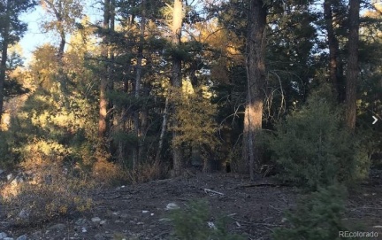 109 109 Deer Run Run, Mosca, CO 81146, ,Land,For Sale,109 Deer Run,REC1533626