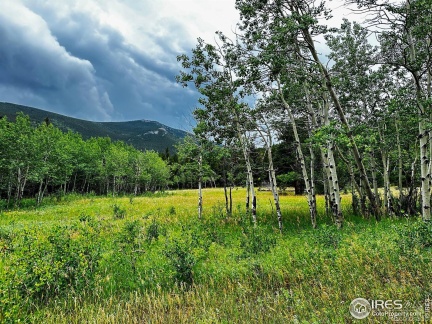 928 Ski Road, Allenspark, CO 80510, ,Land,For Sale,Ski,RECIR1016202