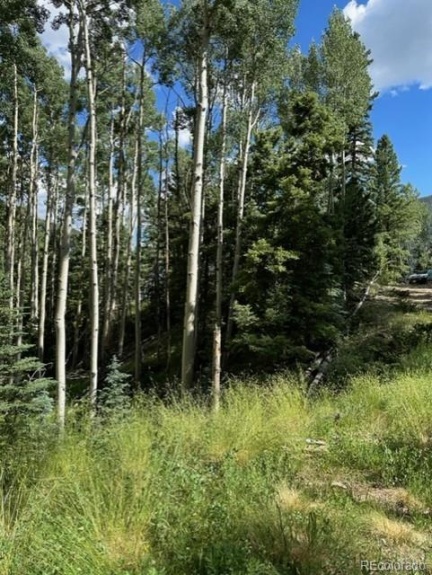 TBD, Jasper, CO 81132, ,Land,For Sale,TBD,REC4688781