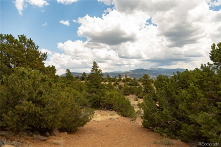 Restricted Address, ,Land,For Sale,Bear Creek,REC5740936