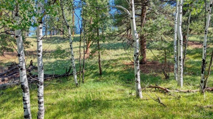 91 Antelope Circle, Florissant, CO 80816, ,Land,For Sale,Antelope,REC4482135