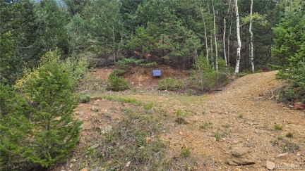 Hecla and Olympic Mines, Dumont, CO 80436, ,Land,For Sale,Hecla and Olympic Mines,REC5313521