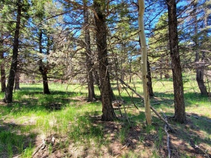 0 Spanish Peaks Drive, Aguilar, CO 81020, ,Land,For Sale,Spanish Peaks,REC3420506