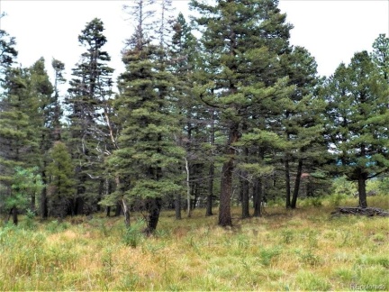 Spanish Peaks Drive, Aguilar, CO 81020, ,Land,For Sale,Spanish Peaks,REC9826145