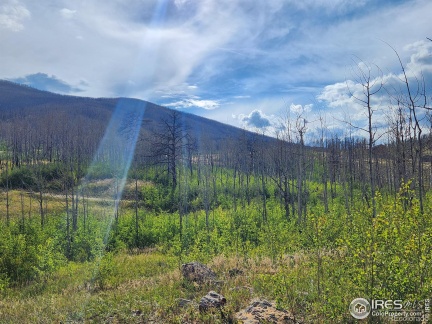 TBD Crystal Mountain Road, Bellvue, CO 80512, ,Land,For Sale,TBD Crystal Mountain,RECIR1019210