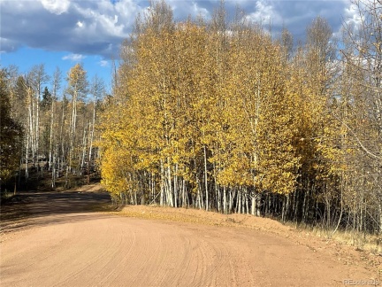 6409 Remington Road, Como, CO 80432, ,Land,For Sale,Remington,REC9129230